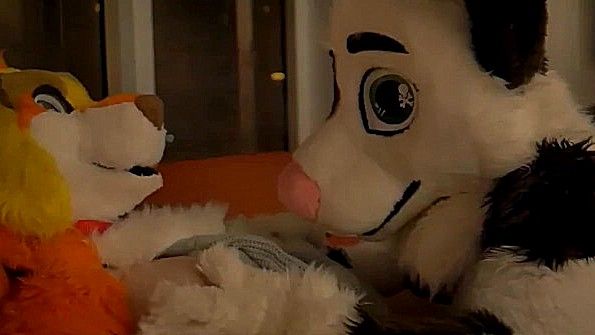 Любители в плюшевых костюмах устроили еблю