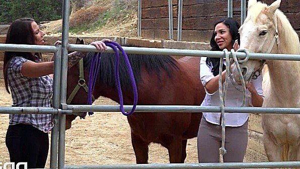 Покатались на лошадях и занялись лесби трахом