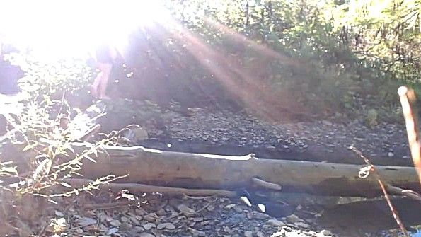 Села на поваленное дерево и занялась мастурбацией