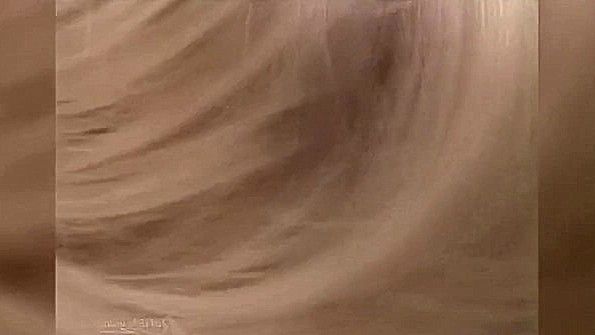 Шаловливая Paris Hilton делает минет на камеру